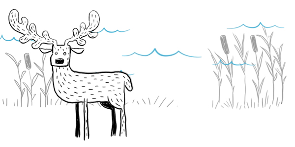 deer